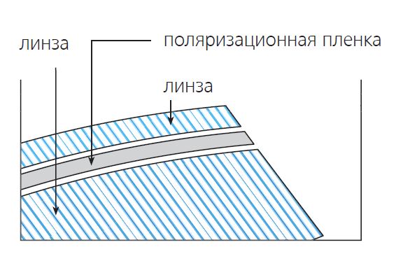 Технология Polarized у очковых линз Zeiss