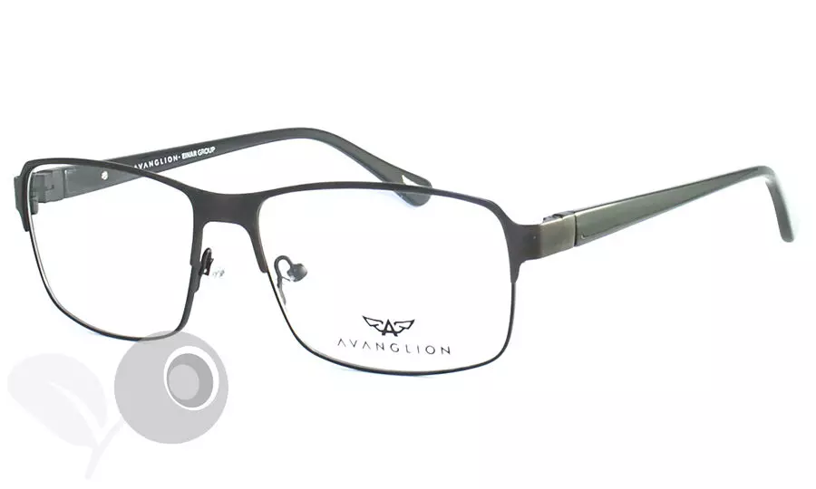 Очки для зрения AVANGLION AV10515B