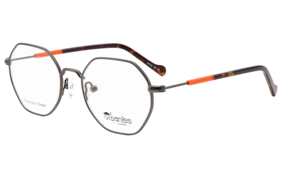 Очки для зрения BANISS BY1053 C03