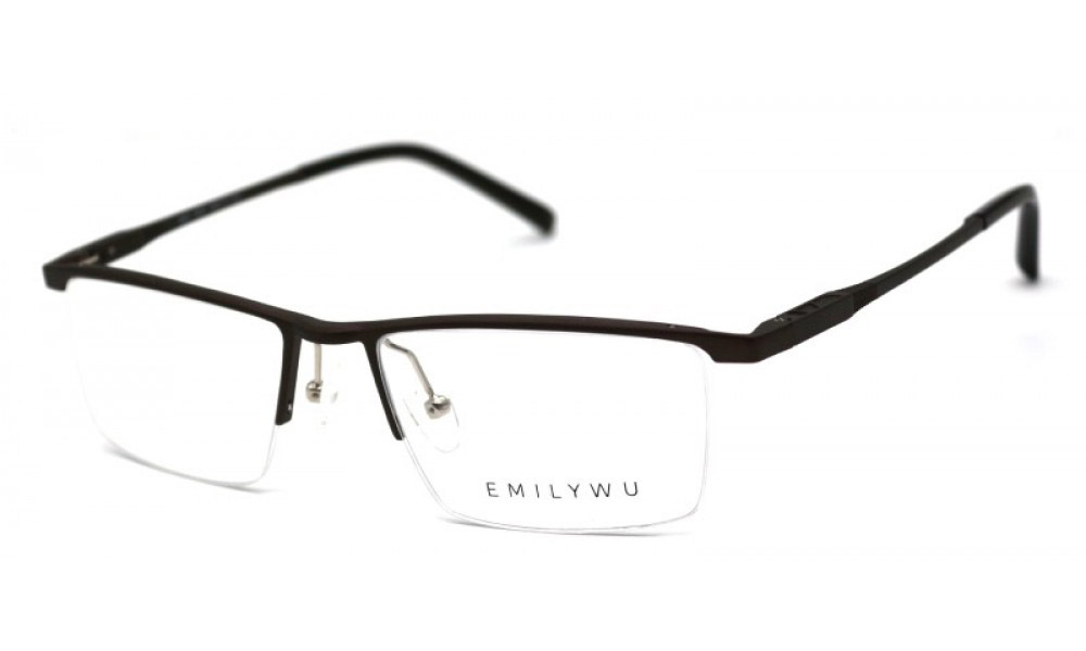 Очки для зрения EMILY WU 6901 5031