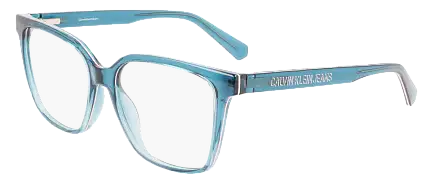 Оправа Calvin Klein CKJ21639 432